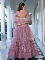 Dusty Pink Butterfly Net Lehenga Choli